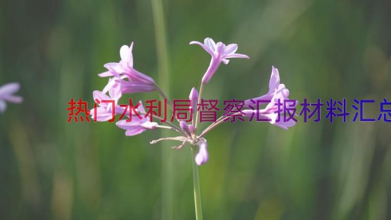 热门水利局督察汇报材料（汇总14篇）