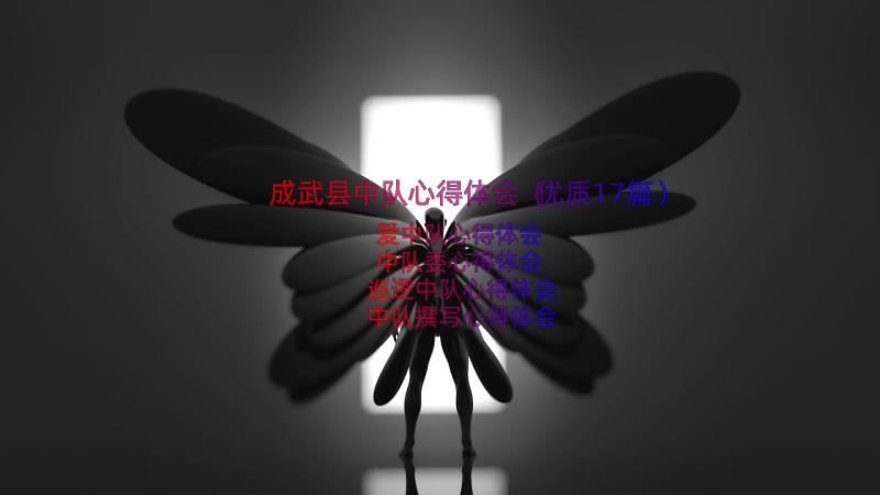 成武县中队心得体会（优质17篇）