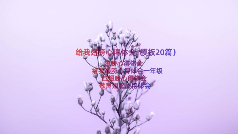 给我翅膀心得体会（模板20篇）