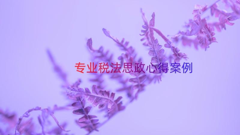 专业税法思政心得（案例17篇）