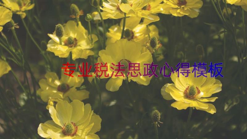 专业税法思政心得（模板19篇）