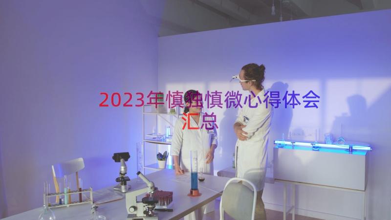 2023年慎独慎微心得体会（汇总16篇）