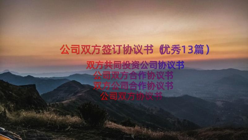 公司双方签订协议书（优秀13篇）