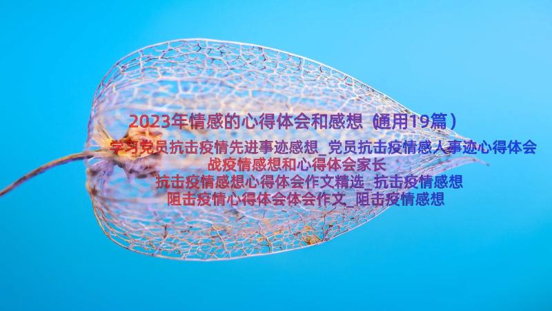 2023年情感的心得体会和感想（通用19篇）