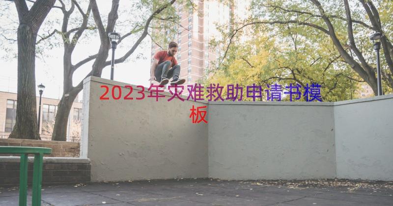 2023年灾难救助申请书（模板18篇）