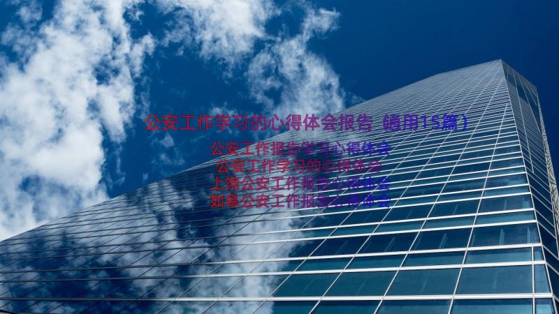 公安工作学习的心得体会报告（通用15篇）