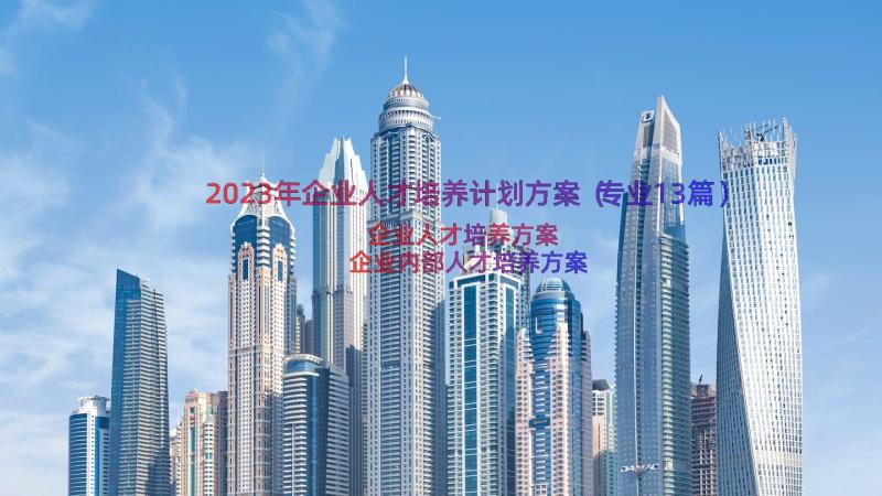 2023年企业人才培养计划方案（专业13篇）