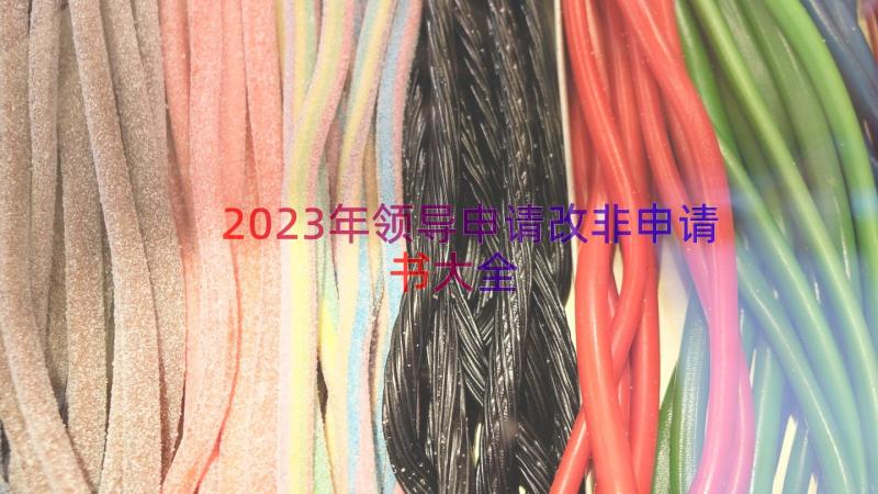 2023年领导申请改非申请书大全（17篇）