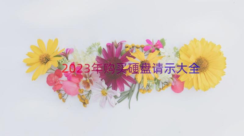 2023年购买硬盘请示大全（15篇）