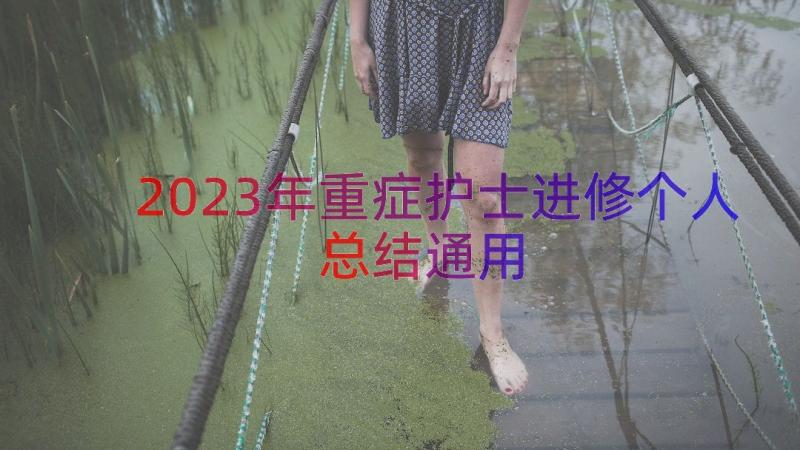 2023年重症护士进修个人总结（通用20篇）