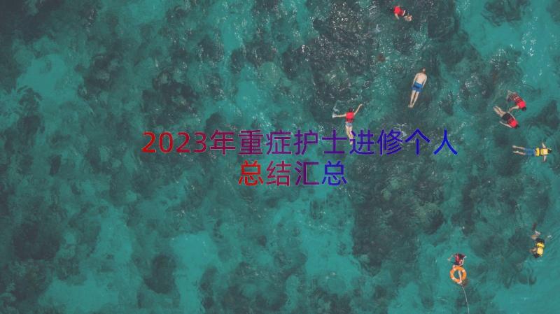 2023年重症护士进修个人总结（汇总20篇）