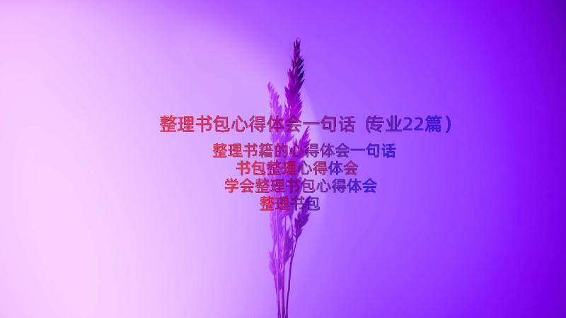 整理书包心得体会一句话（专业22篇）