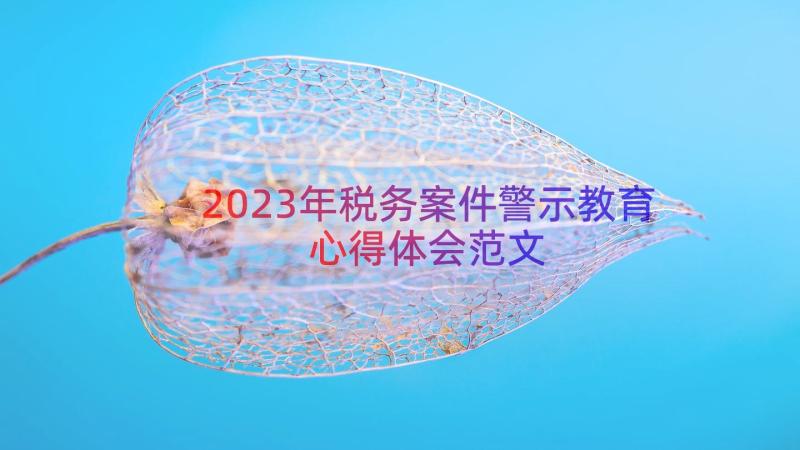 2023年税务案件警示教育心得体会范文（16篇）