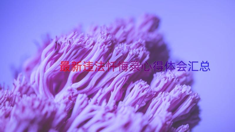 最新违法忏悔录心得体会（汇总14篇）