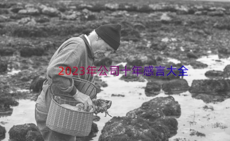 2023年公司十年感言大全（18篇）