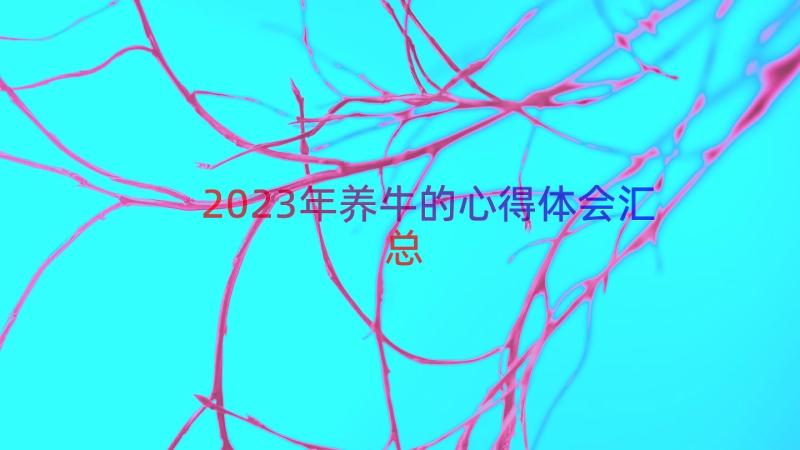 2023年养牛的心得体会（汇总16篇）