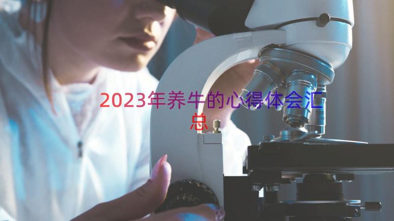 2023年养牛的心得体会（汇总14篇）