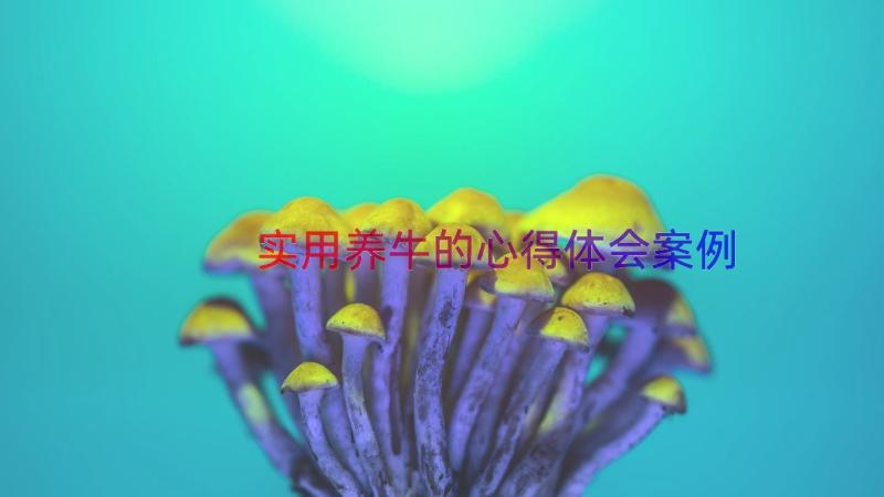 实用养牛的心得体会（案例16篇）