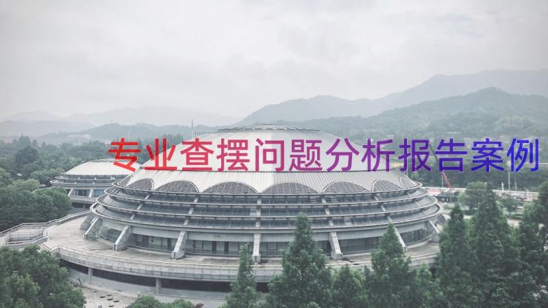 专业查摆问题分析报告案例