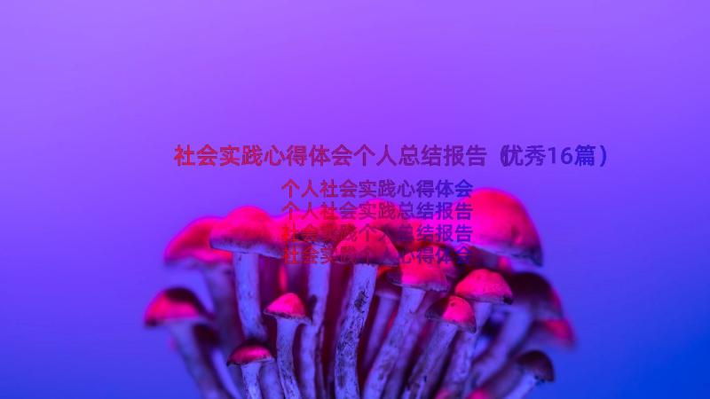 社会实践心得体会个人总结报告（优秀16篇）