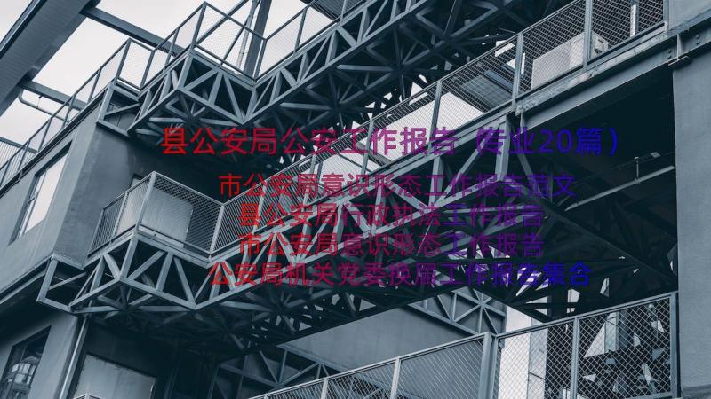 县公安局公安工作报告（专业20篇）