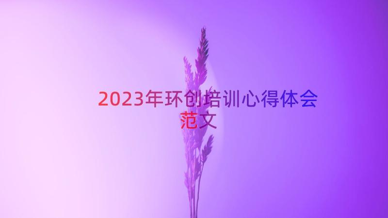 2023年环创培训心得体会范文（15篇）