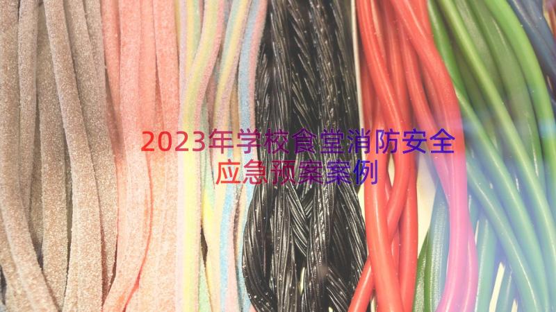 2023年学校食堂消防安全应急预案（案例21篇）