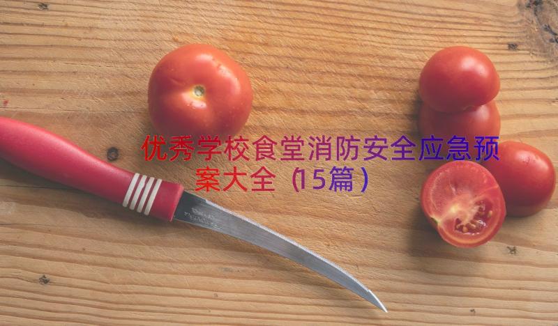 优秀学校食堂消防安全应急预案大全（15篇）