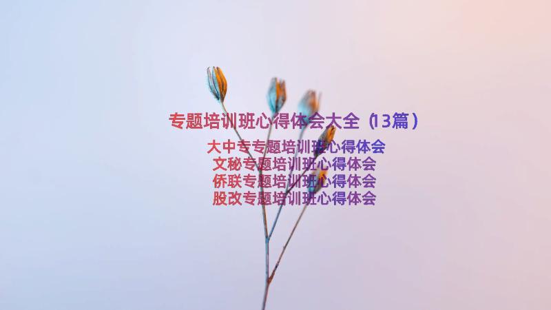 专题培训班心得体会大全（13篇）