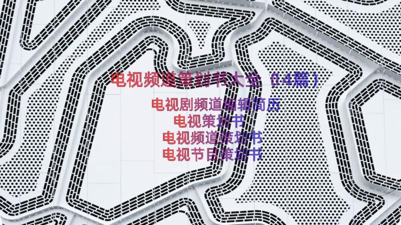 电视频道策划书大全（14篇）