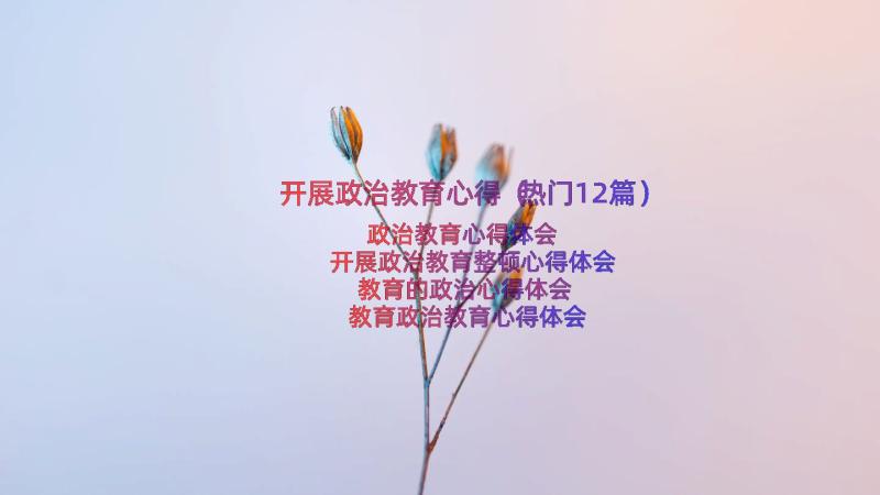 开展政治教育心得（热门12篇）