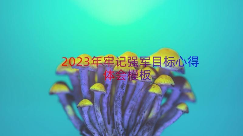 2023年牢记强军目标心得体会（模板15篇）