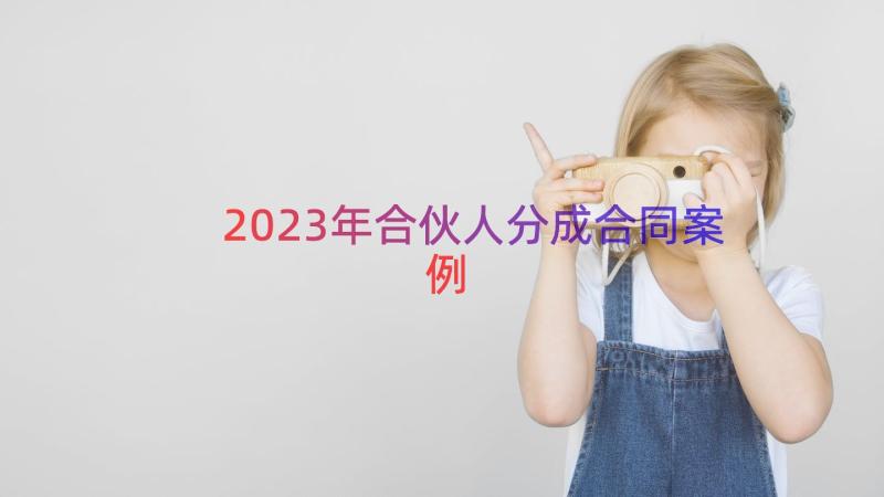 2023年合伙人分成合同（案例17篇）