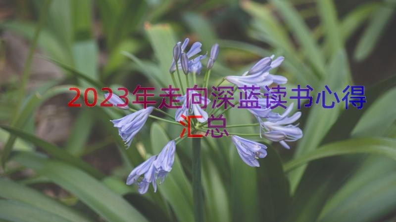 2023年走向深蓝读书心得（汇总15篇）