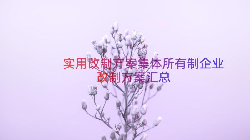 实用改制方案集体所有制企业改制方案（汇总13篇）