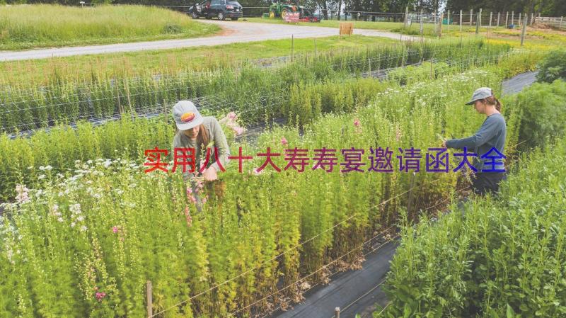 实用八十大寿寿宴邀请函大全（17篇）