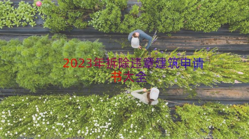 2023年拆除违章建筑申请书大全（14篇）