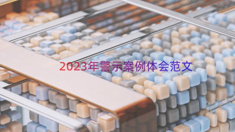 2023年警示案例体会范文（12篇）