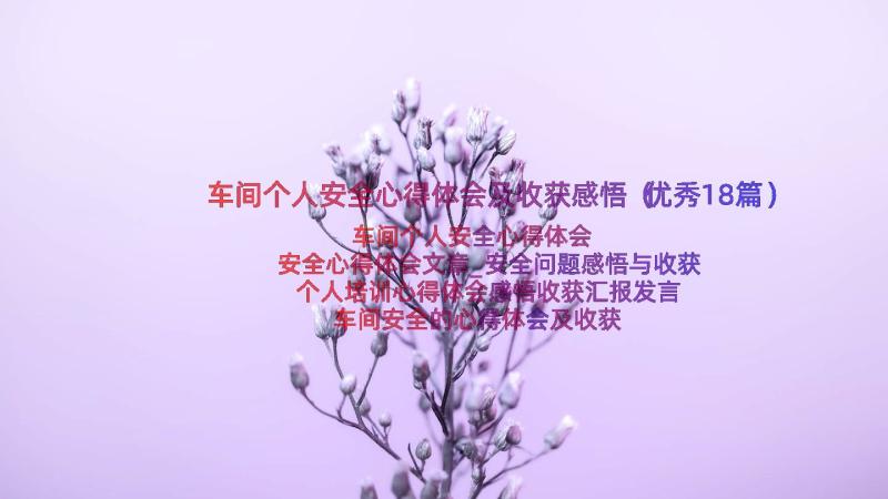 车间个人安全心得体会及收获感悟（优秀18篇）