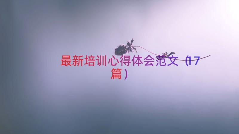 最新培训心得体会范文（17篇）