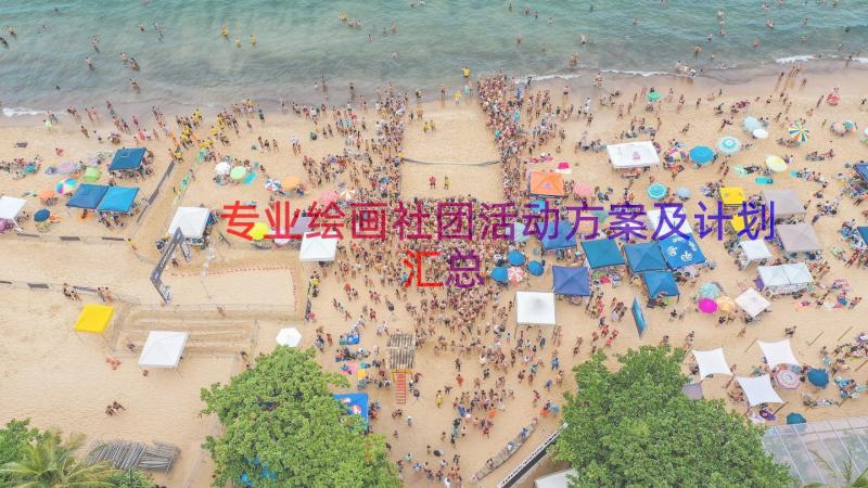 专业绘画社团活动方案及计划（汇总15篇）