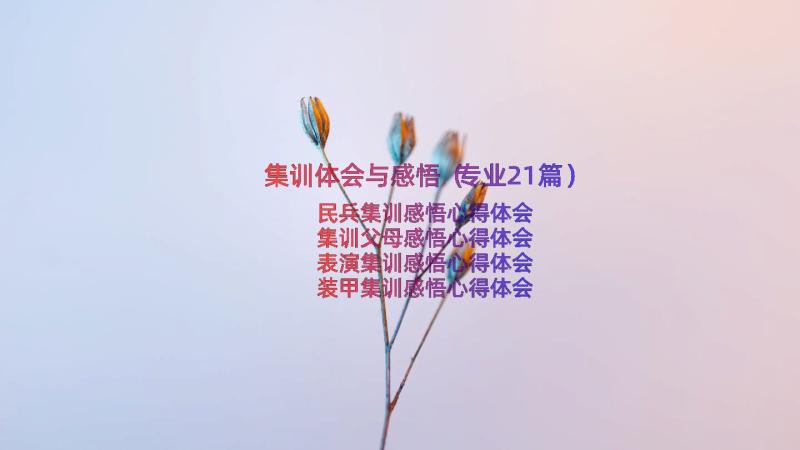 集训体会与感悟（专业21篇）