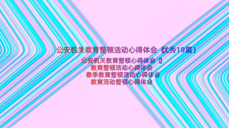 公安机关教育整顿活动心得体会（优秀19篇）