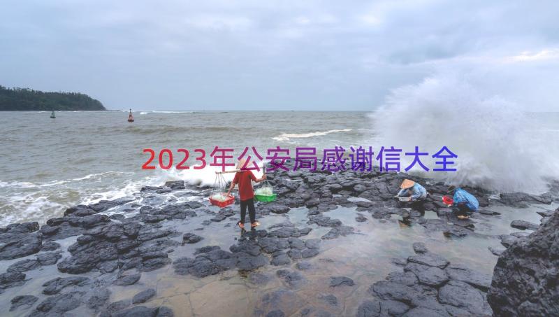 2023年公安局感谢信大全（18篇）