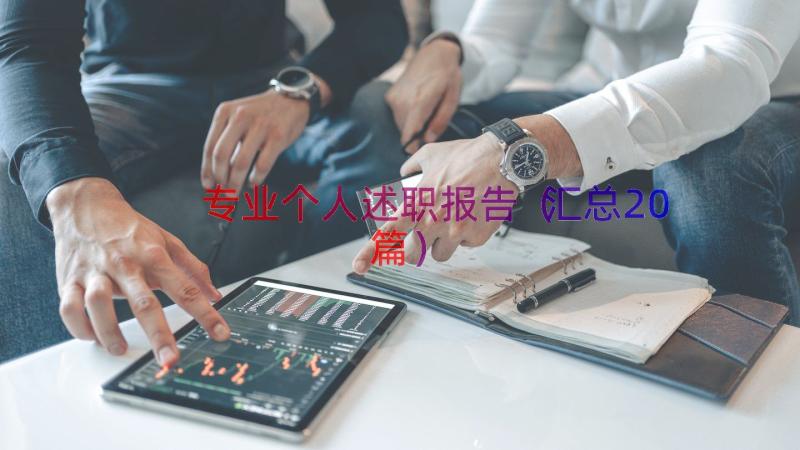 专业个人述职报告（汇总20篇）