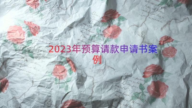 2023年预算请款申请书（案例16篇）