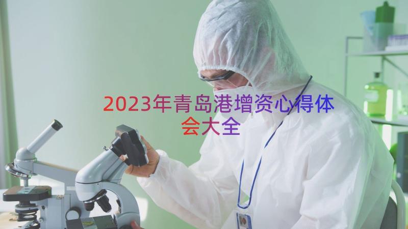 2023年青岛港增资心得体会大全（16篇）