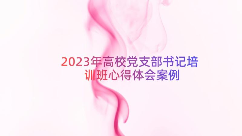 2023年高校党支部书记培训班心得体会（案例17篇）