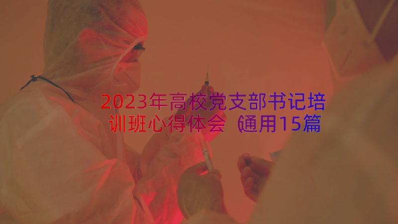 2023年高校党支部书记培训班心得体会（通用15篇）