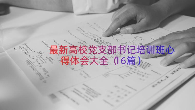 最新高校党支部书记培训班心得体会大全（16篇）